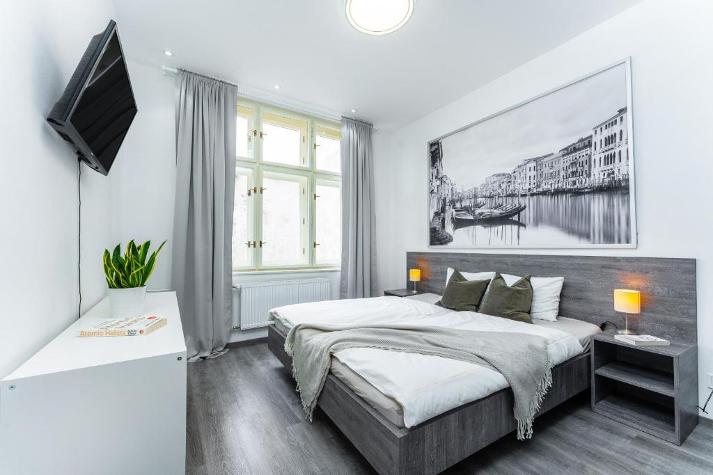 1 dormitorio con 1 cama grande y TV en Wenceslas square apartment, en Praga