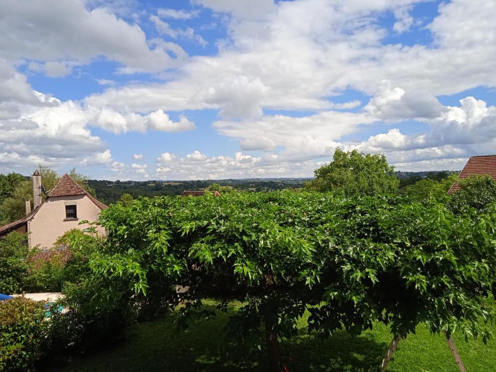 Příroda nedaleko bed and breakfast