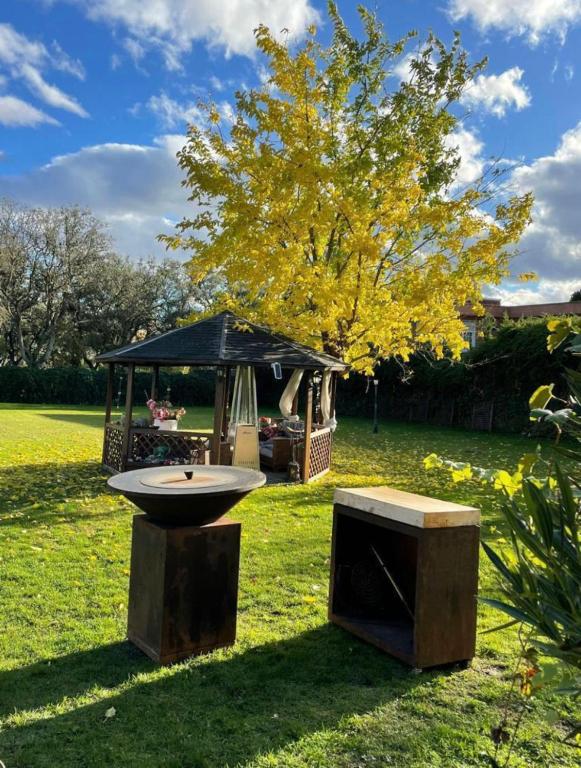 A garden outside Espléndido dormitorio en Suite
