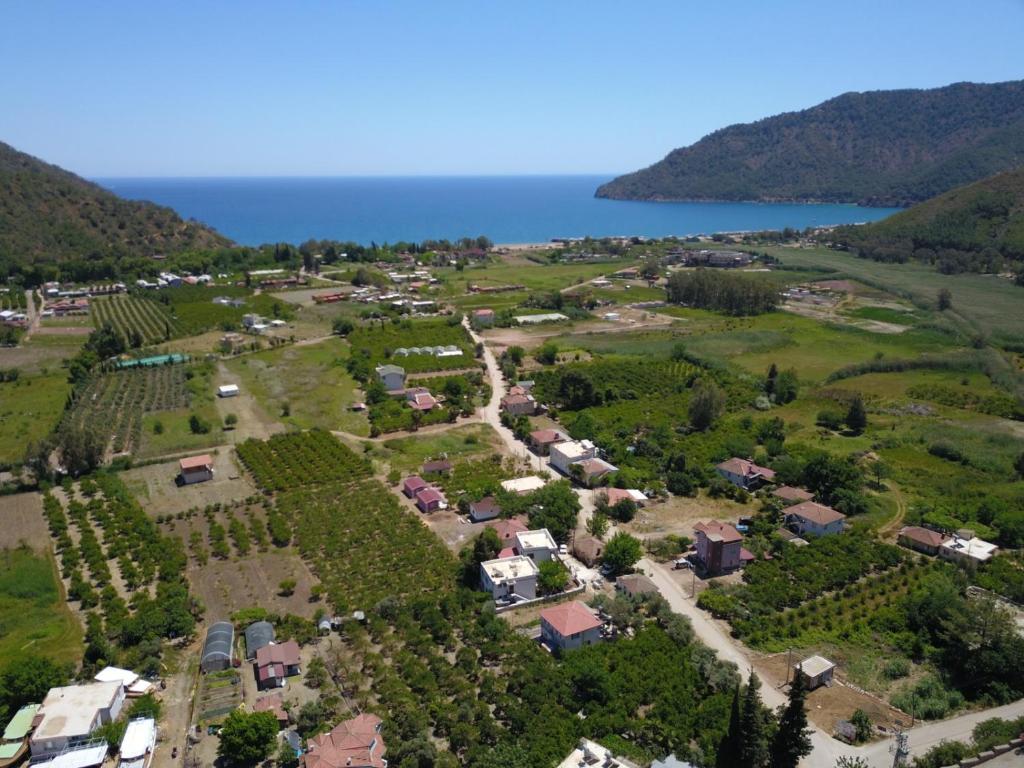 una vista aerea di un’azienda agricola vicino all’acqua di İzol Apart Evleri Adrasan a Kumluca