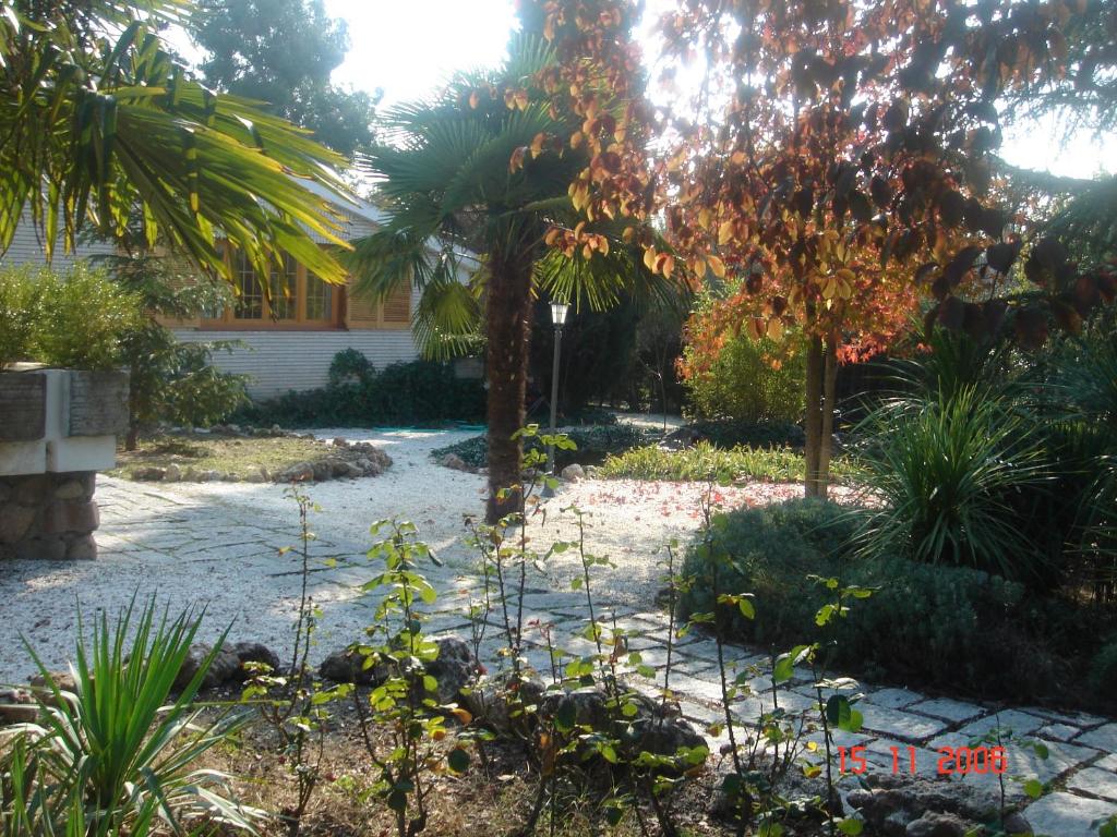 A garden outside Espléndido dormitorio en Suite