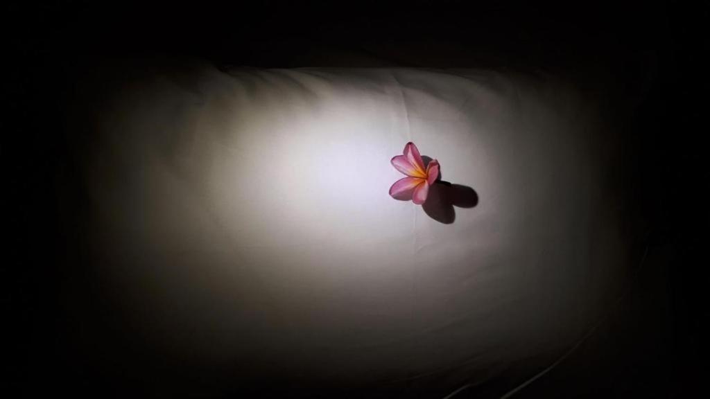 Fotografie z fotogalerie ubytování Bujang Lapuk Hostel v destinaci Sekotong