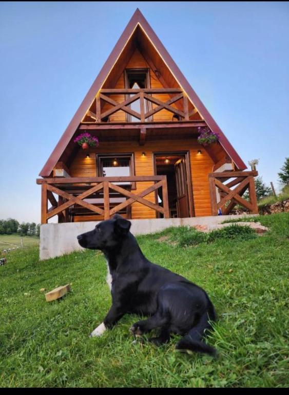 Domácí mazlíčci ubytovaní s hosty v ubytování Mountain house Drveni Raj