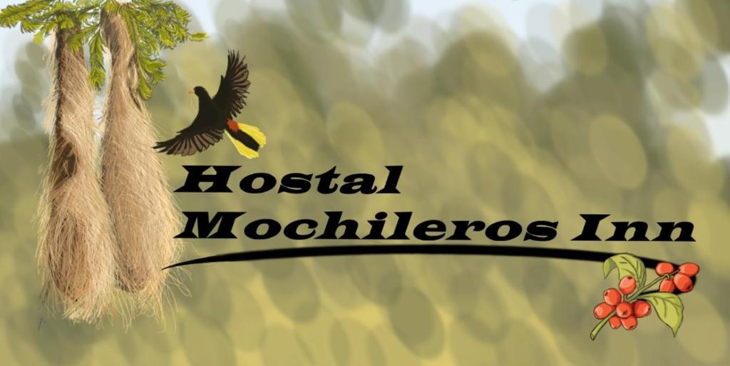 Un uccello vola vicino a un albero di Hostal Mochileros Inn a Circasia
