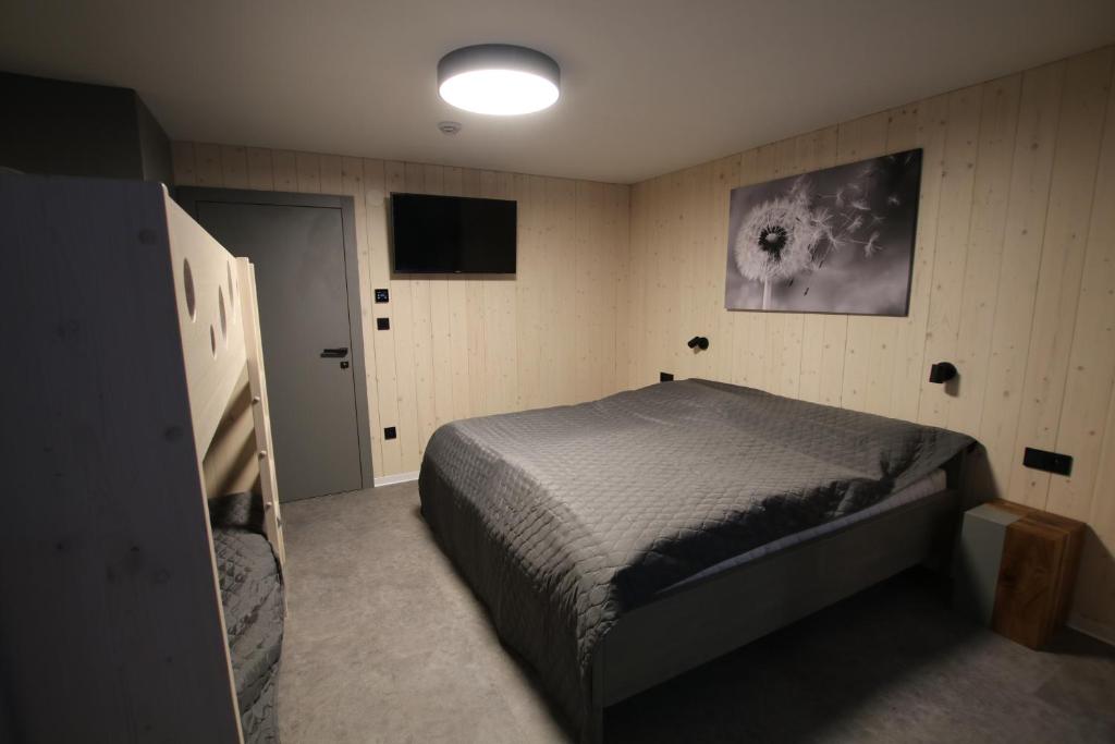 a bedroom with a bed and a flat screen tv at Chata Jestřábník in Dolní Morava