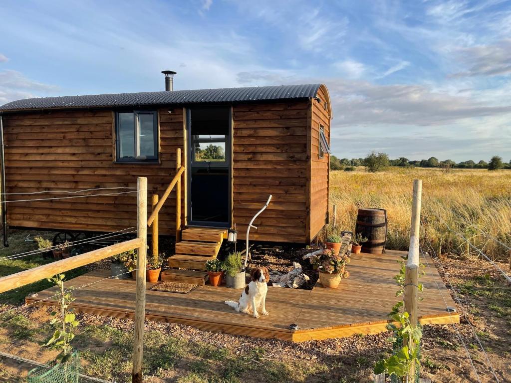 ein winziges Haus mit einem Hund, der auf einem Holzdeck sitzt in der Unterkunft Bain View Glamping in Horncastle