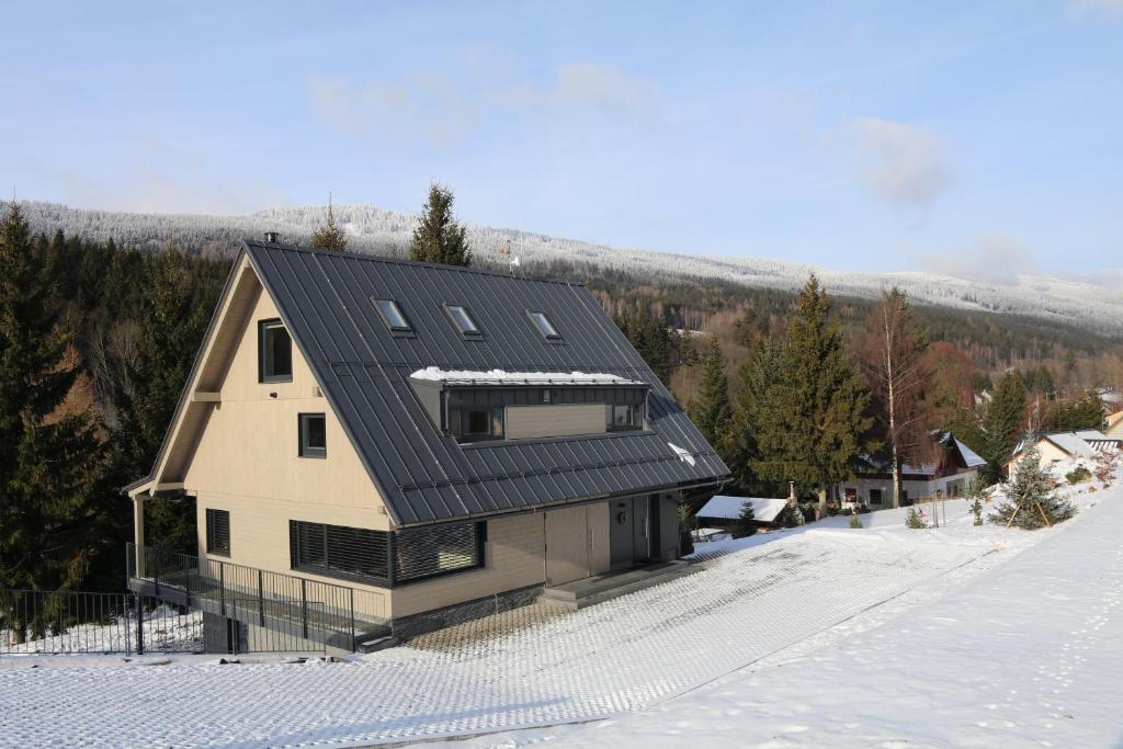 a house with a black roof in the snow at Chata Jestřábník in Dolní Morava