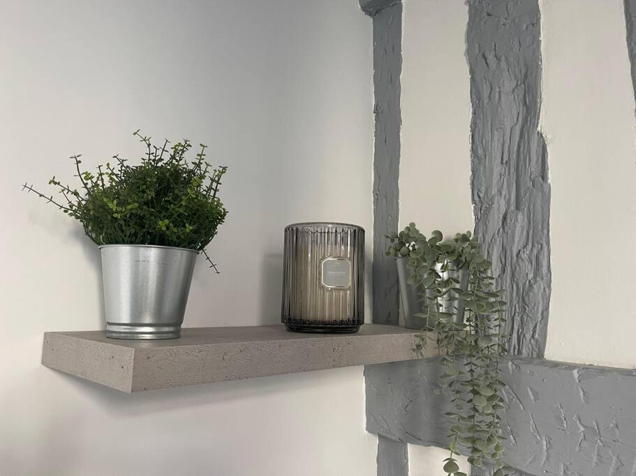 a shelf with two potted plants on a wall at Studio au cœur de Rouen in Rouen