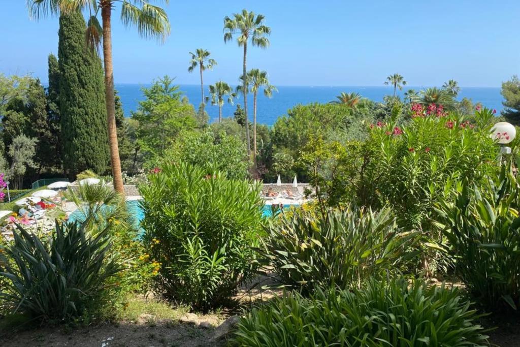 un jardín con piscina, palmeras y plantas en Comfortable cocoon with exceptional sea view, en Vallauris