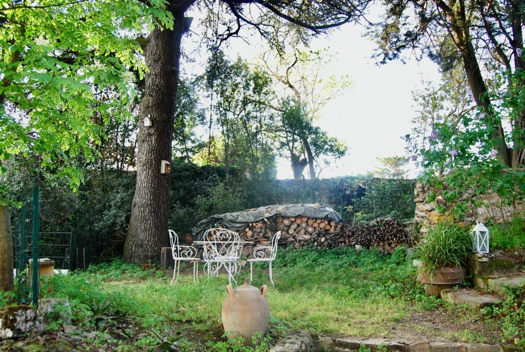 a cat standing in front of a table and chairs at Un jardin en ville in Nantes