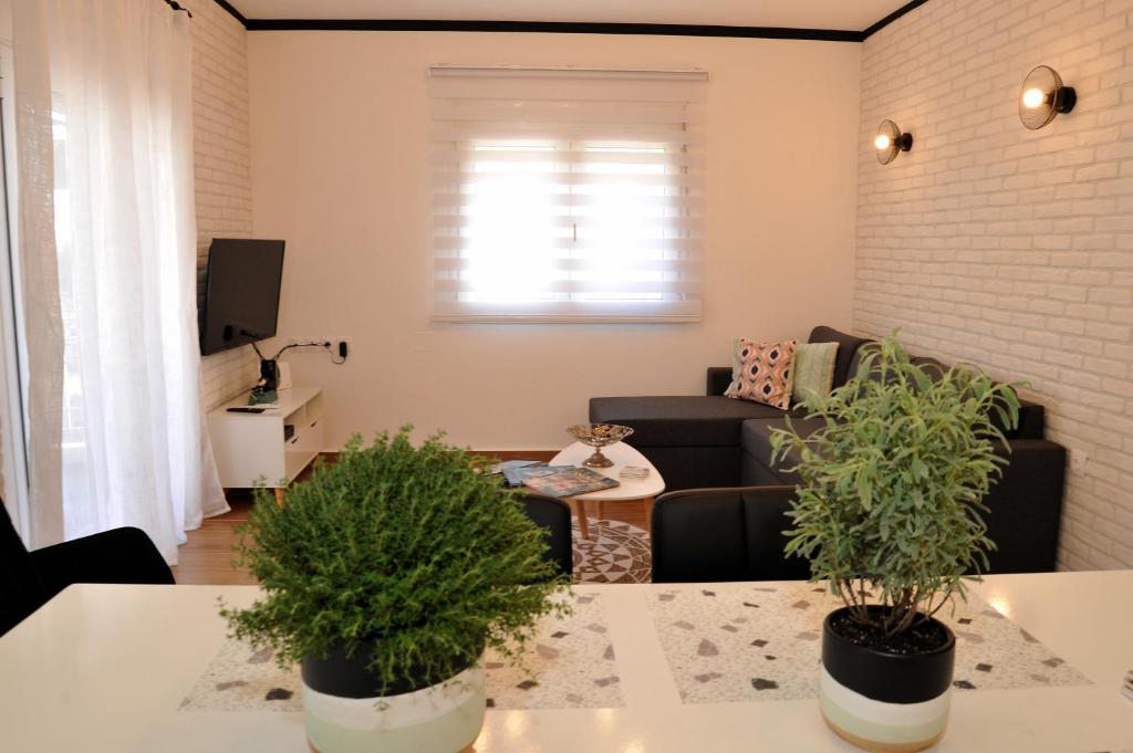 Televízia a/alebo spoločenská miestnosť v ubytovaní Vintage apartment Helios