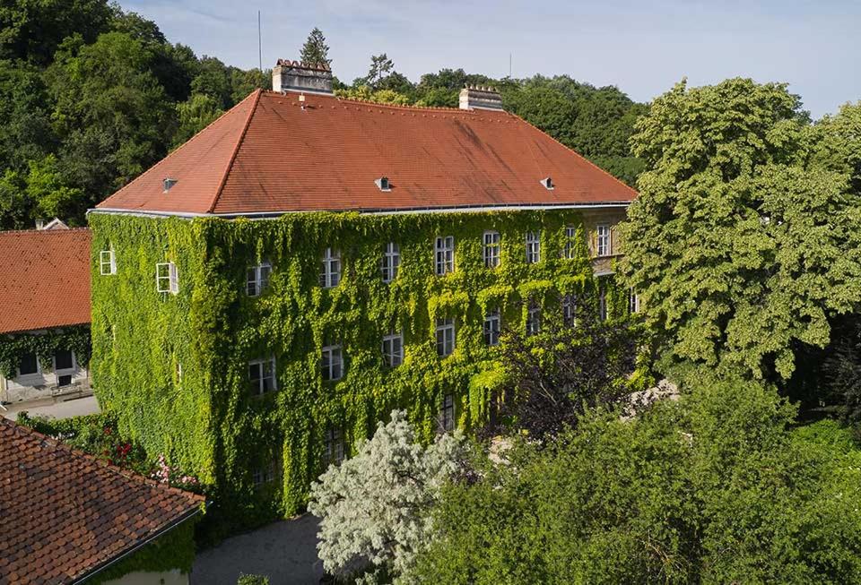 un edificio cubierto de hiedra verde con techo rojo en Schloss Hollenburg Aparte Apartments en Krems an der Donau