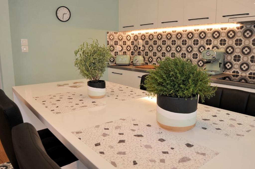 Kuchyňa alebo kuchynka v ubytovaní Vintage apartment Helios