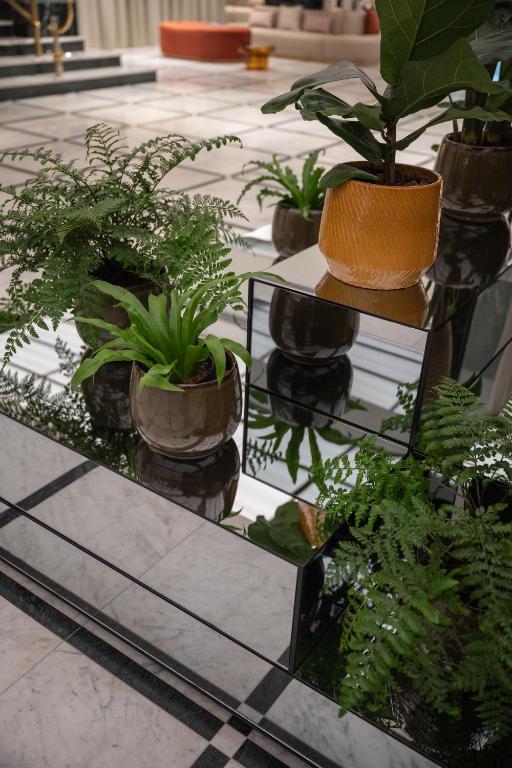 Almanac X Alcron Prague - Resim 28