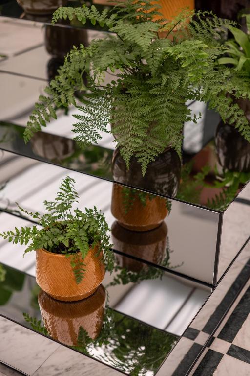 Almanac X Alcron Prague - Resim 32