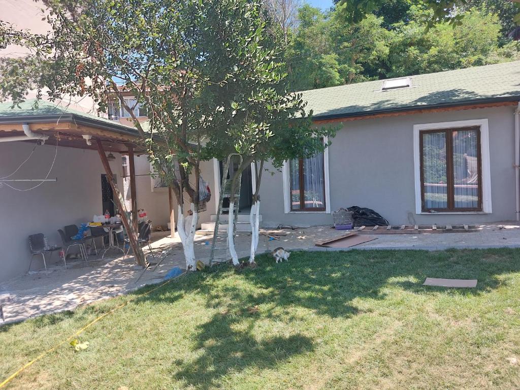 ein Haus mit einem Baum und einem Hund im Hof in der Unterkunft Tarabya Family Suıt Villa in Istanbul