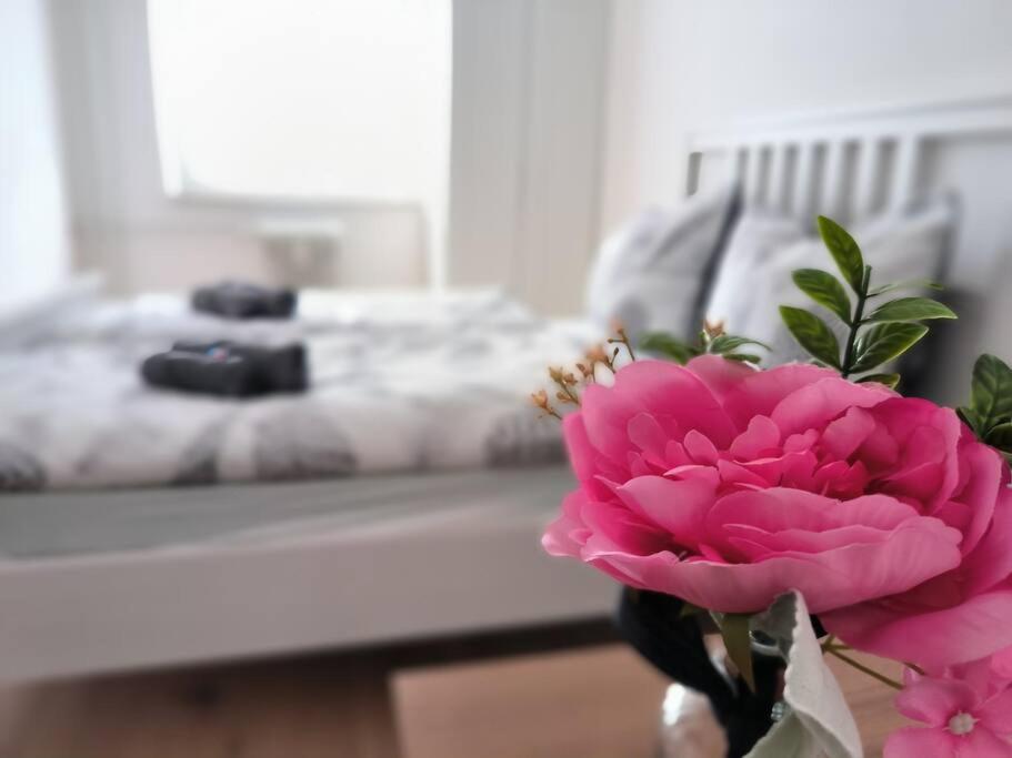 różowy kwiat w wazie w pokoju w obiekcie BeBu - Apartment w mieście Friedrichshafen