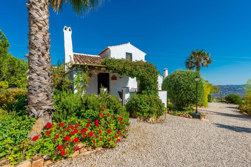 Príroda v okolí of the country house