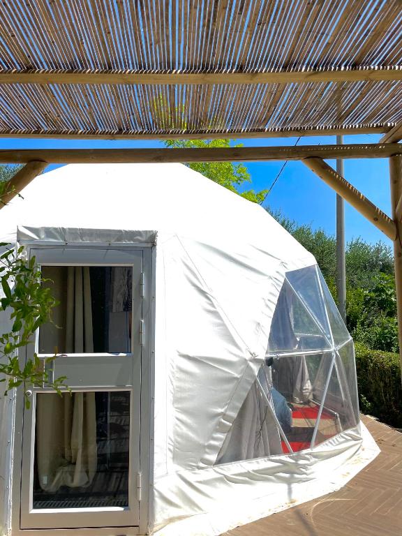 Zahrada ubytování Glamping Lost