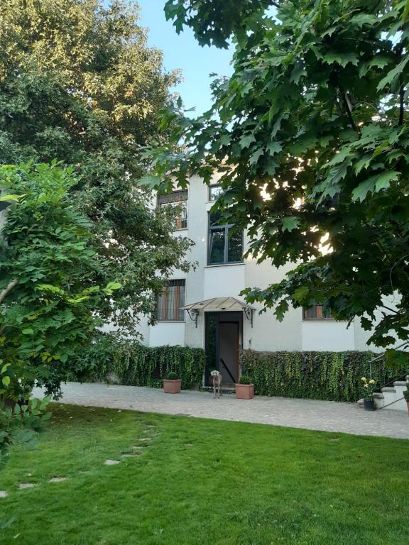 un perro sentado frente a un edificio blanco en D'OR DUBLE' bed and breakfast, en Carignano