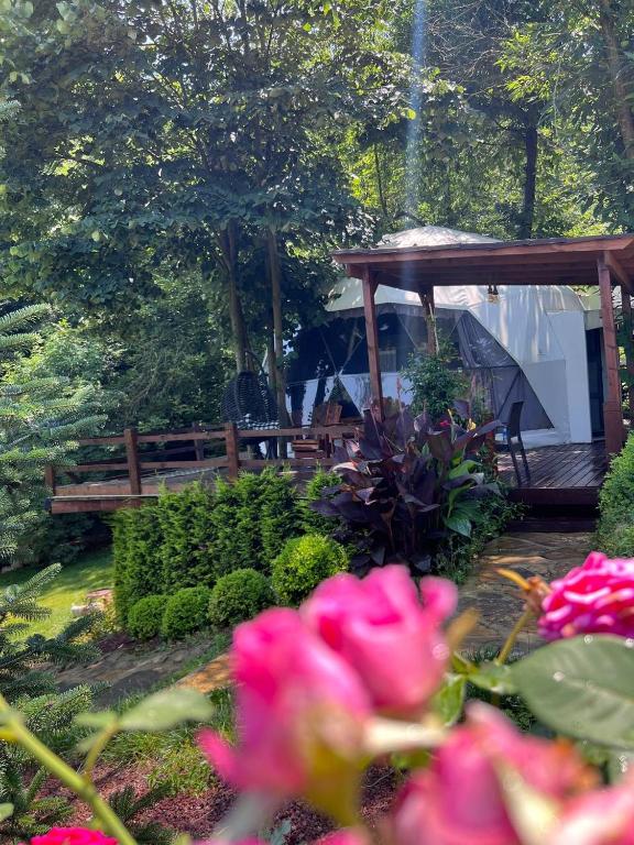 Zahrada ubytování ME-GA Glamping