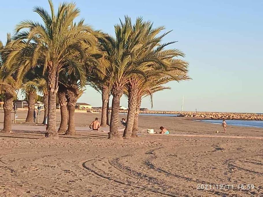 um grupo de palmeiras numa praia arenosa em Maison santa pola em Santa Pola