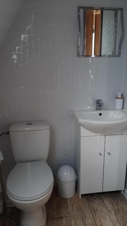 Koupelna v ubytování DOMKI NAD ŁOWISKIEM