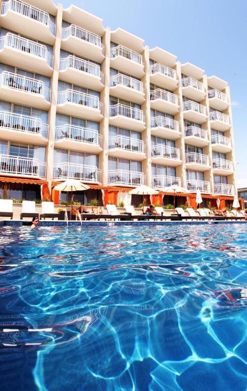 Bazén v ubytování Ocean Club Hotel nebo v jeho okolí