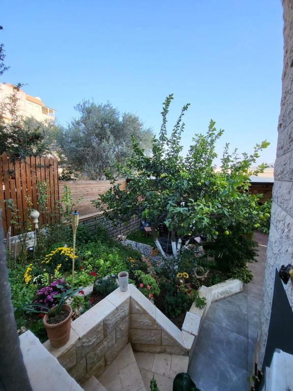 Zahrada ubytování Maria's GuestHouse - Uphill View of Nazareth F