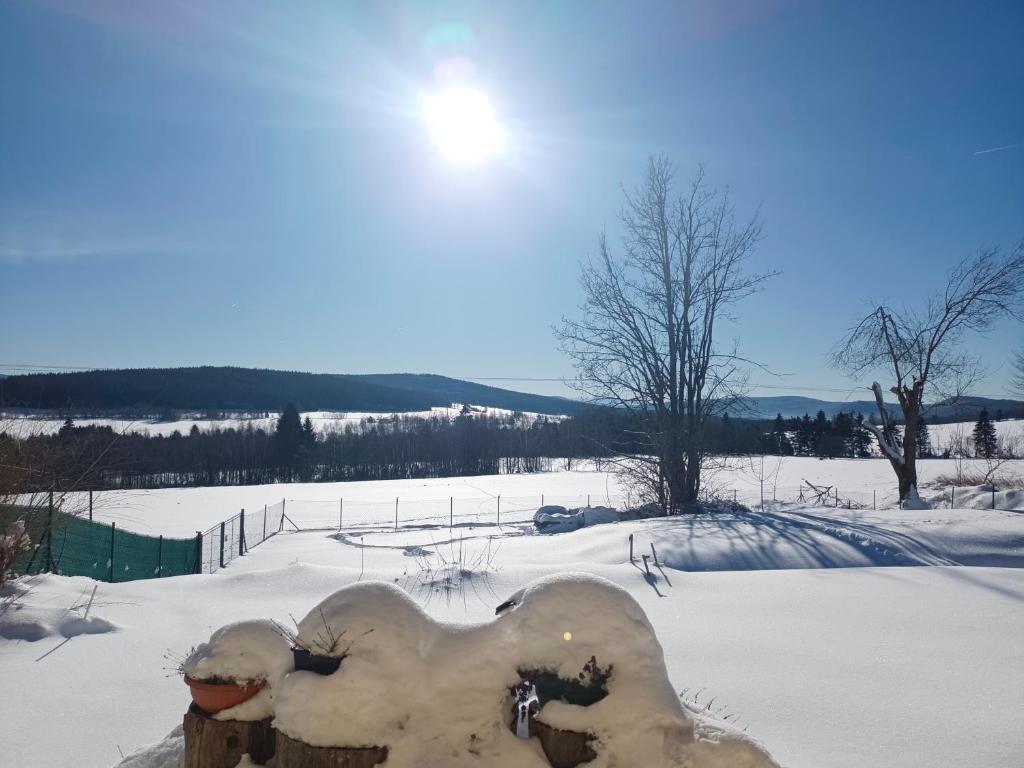 Apartmán Bokova chata v zime