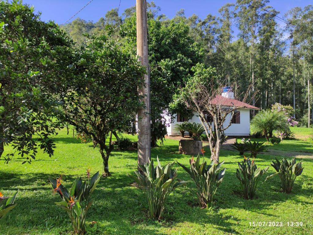 a house in a field with trees and a pole at Casa térrea em meio ao verde! in Encantado