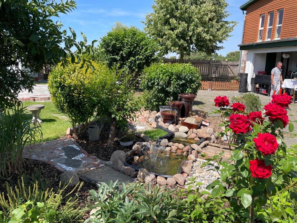 un jardín con un estanque y flores rojas en Urlaub mit Kneipp-Angeboten, en Loitz