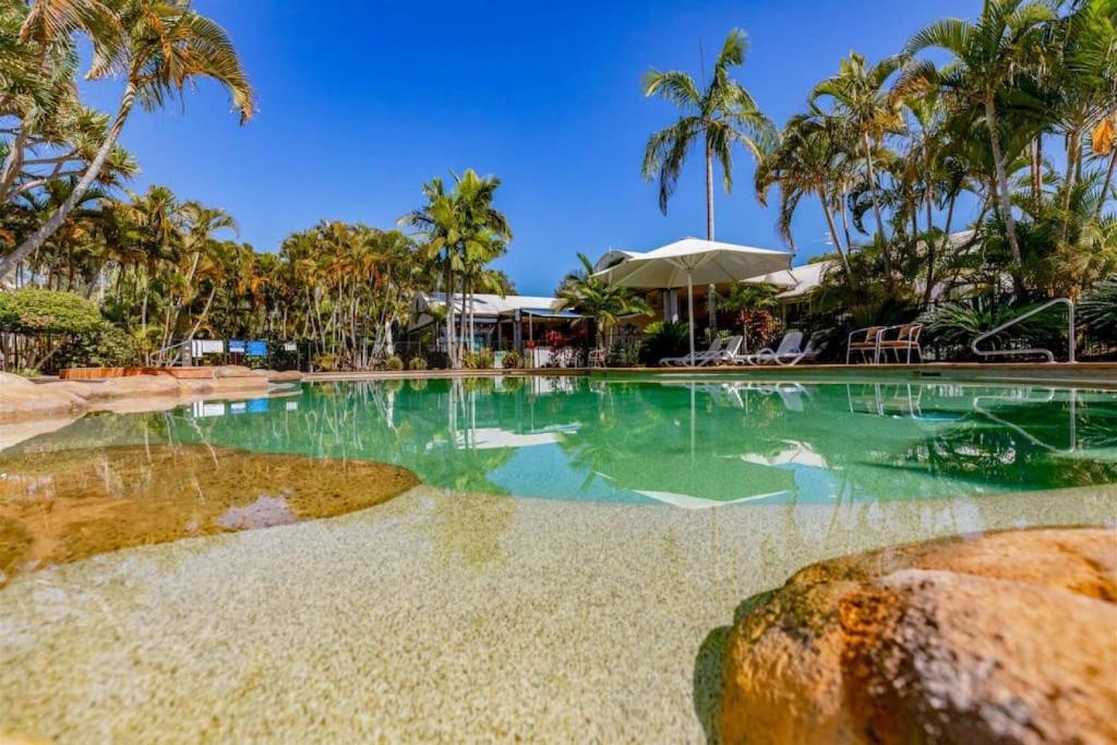 a swimming pool with green water and palm trees at Poolside Retreat at Tropical Resort 126IP in Noosaville