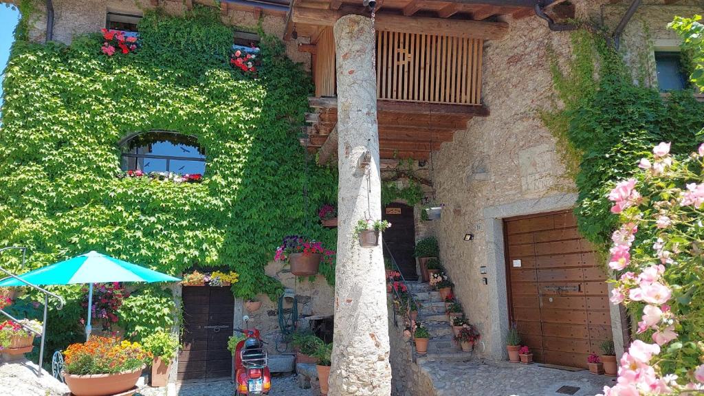 Vonkajšia záhrada v ubytovaní Rustico La Colonna - Tremosine sul Garda