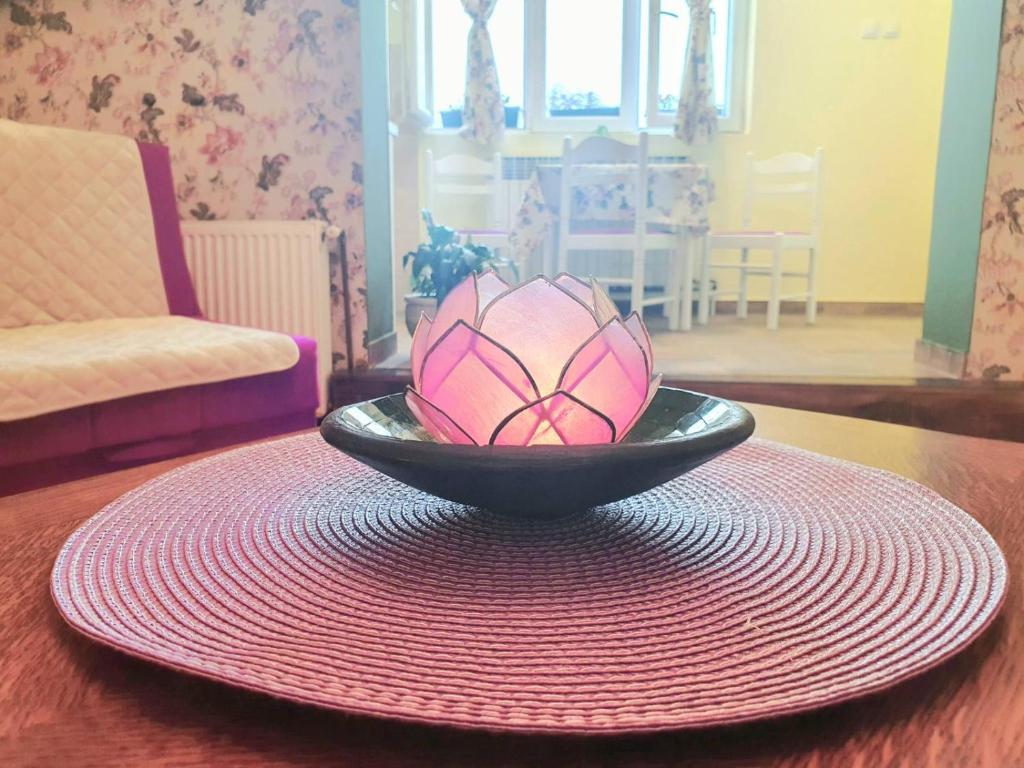 un tazón en una mesa con un plato en una mesa en Vilin konjic en Arilje