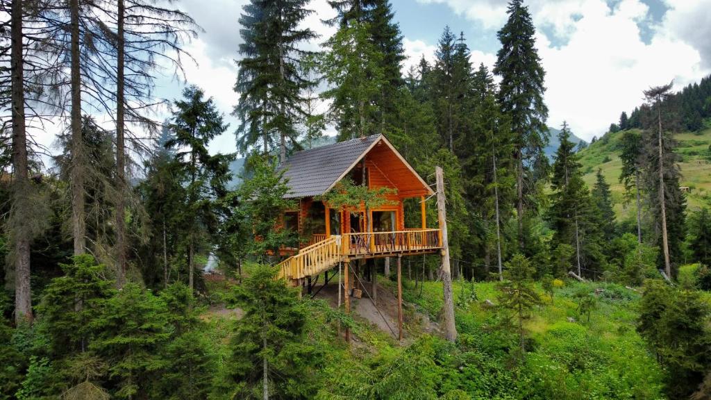 a tree house in the middle of a forest at Cottage farvana in Khulo