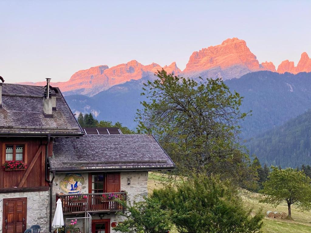 a house with a mountain in the background at Monolocale in chalet alpino 022143-AT-010681 in Madonna di Campiglio