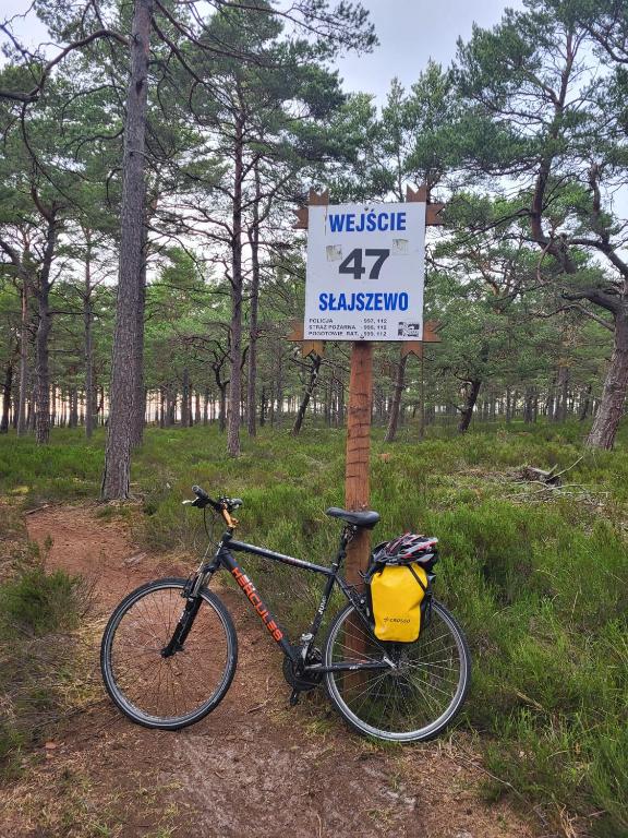 Jízda na kole v ubytování Agrogospodarstwo HALINA ŁUC nebo okolí