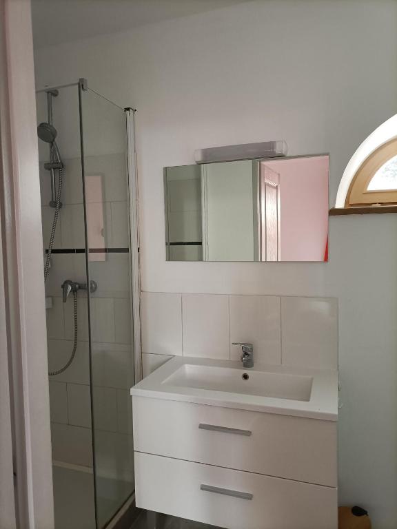 a bathroom with a sink and a shower at La Jolie Dourbie de Nant in Nant