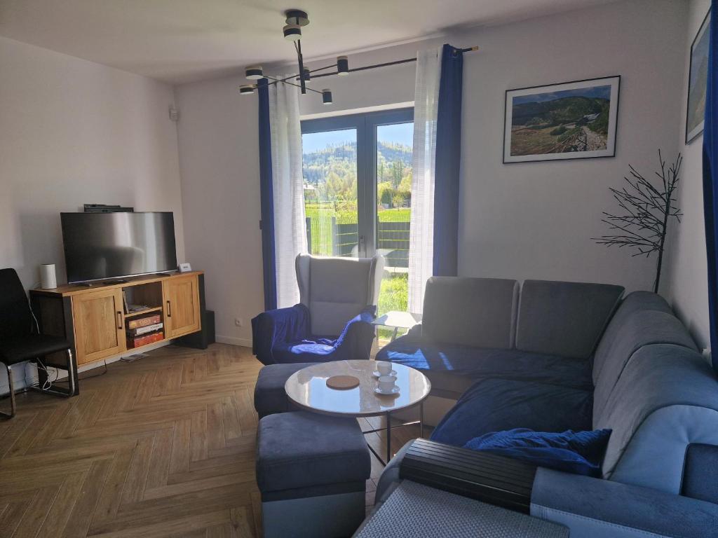 TV a/nebo společenská místnost v ubytování Apartament rodzinny Słoneczna Sosnówka