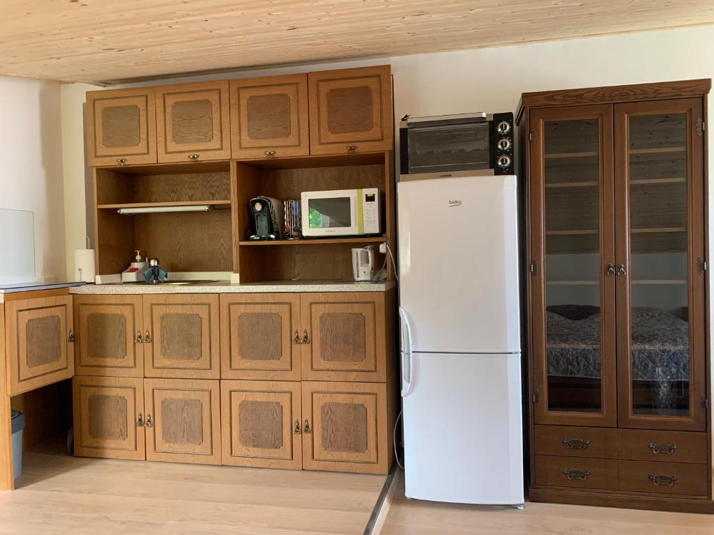 Kuchyň nebo kuchyňský kout v ubytování Klidné a vyjímečné ubytování nad sklepem - Přítluky Garance na počasí!!!
