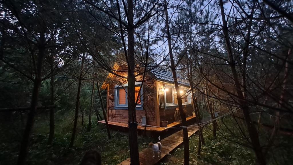Príroda v okolí farmy