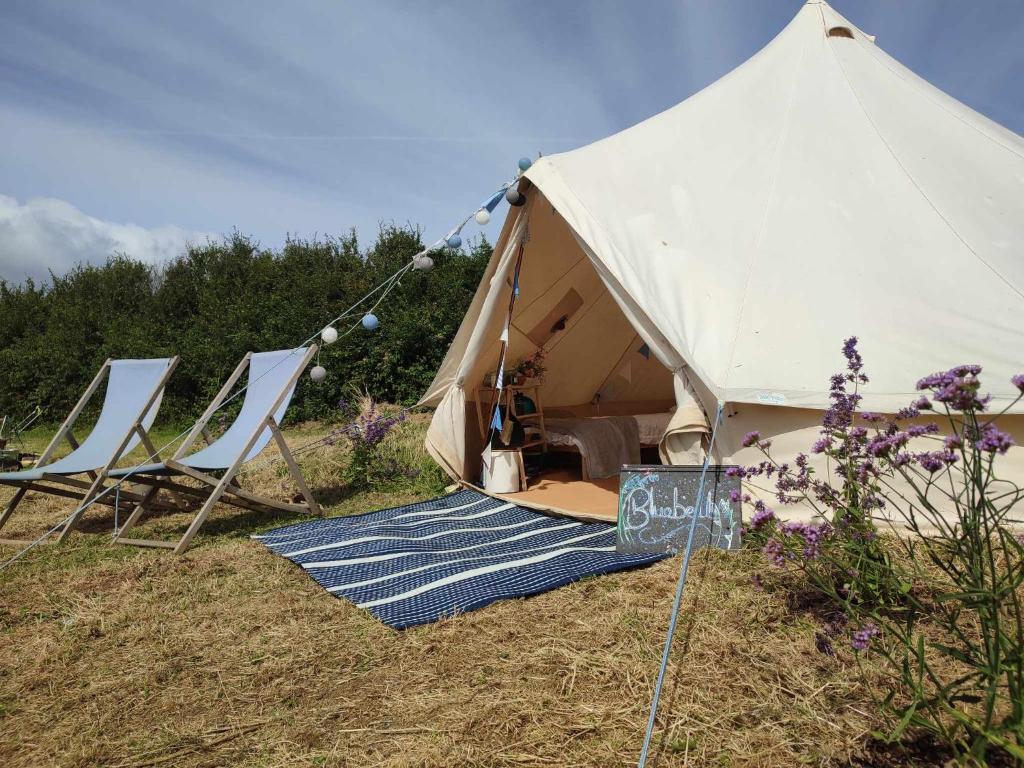 a white tent with chairs and a blue rug in a field at Porthleven Glamping in Porthleven