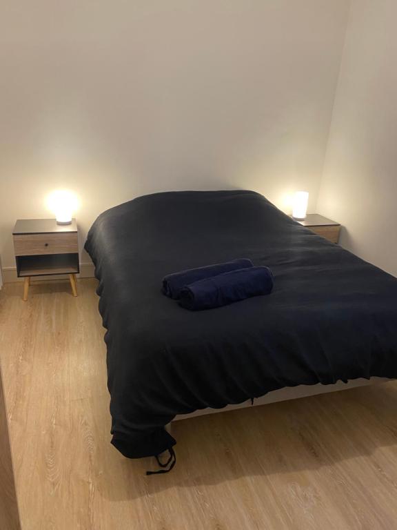 Una cama con dos almohadas azules encima. en Spacieux - lumineux - 3 couchages - Quimper centre, en Quimper