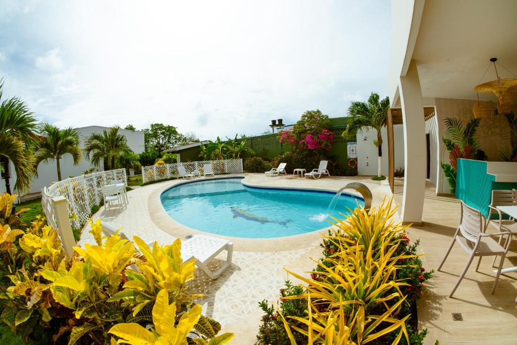 a swimming pool in a yard with chairs and plants at Hotel Koray in San Andrés
