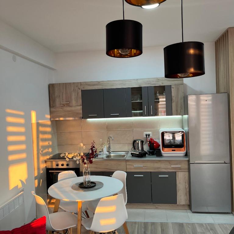 Kuchyň nebo kuchyňský kout v ubytování R Lux Apartman Jagodina Akva Park