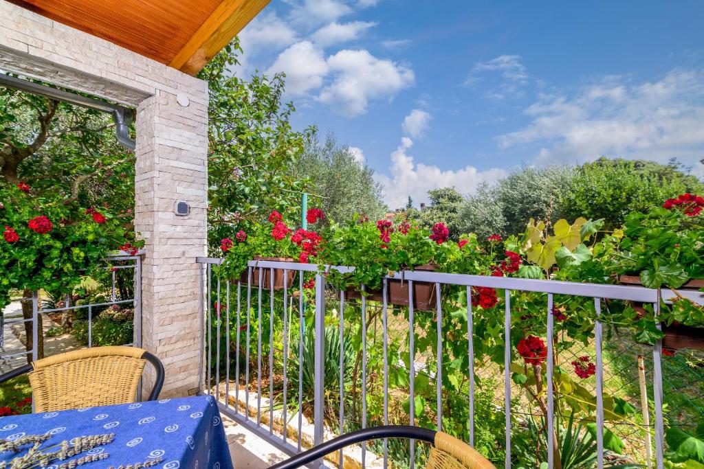Balkon lub taras w obiekcie Apartments with a parking space Kavran, Marcana - 14109