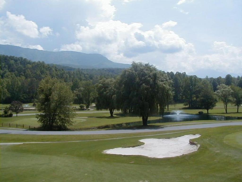 ein Golfplatz mit einem Loch mitten im Grün in der Unterkunft SPECIAL RATE Golfer's Paradise & 10 Minutes to Rocky Top Sports in Gatlinburg