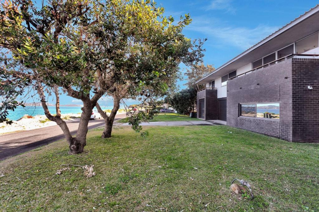 a tree in the grass next to a building at Architectural Design on the Beach in Winda Woppa