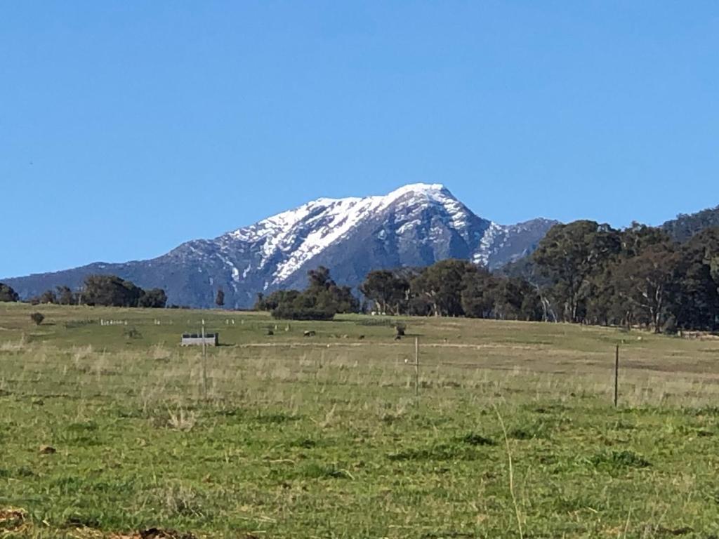 un campo con una montaña cubierta de nieve en el fondo en Bally Patrick Homestead, Merrijig, en Merrijig